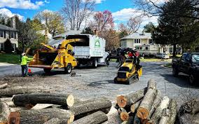 Best Tree and Shrub Care  in Elm City, NC